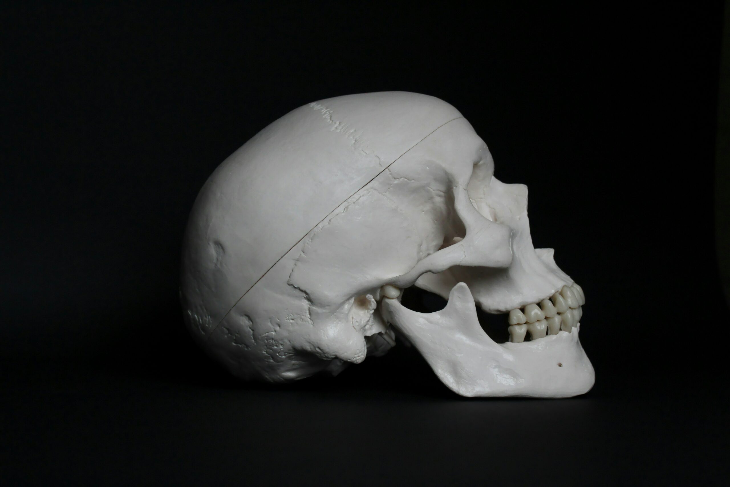 Dental Implants and Bone Loss: What Are Your Options?
